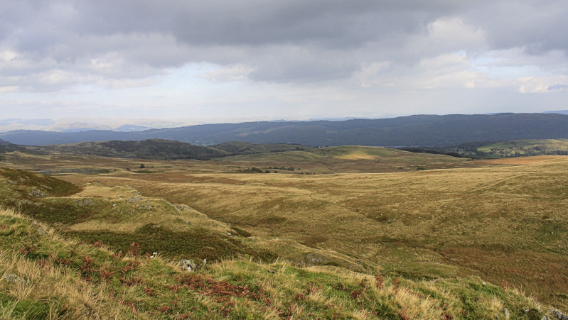 Torver Common Torver Common